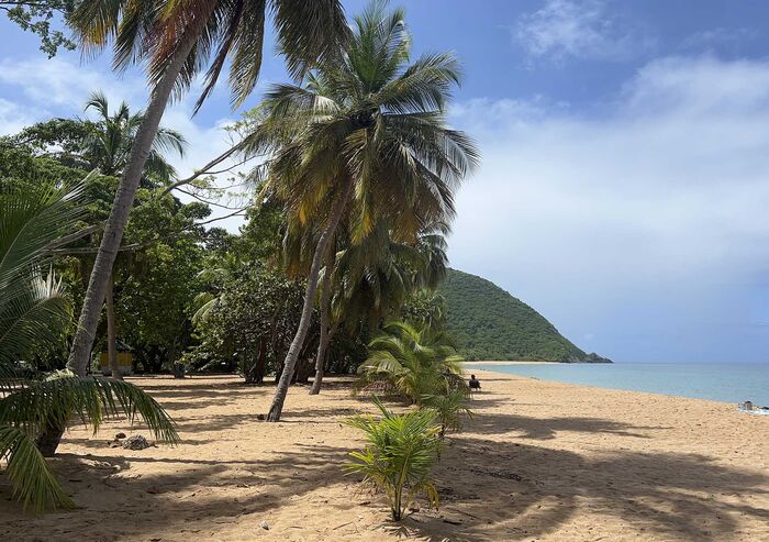 Les plus belles plages autour de Deshaies en Guadeloupe