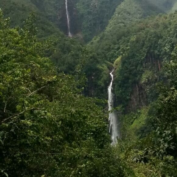 Cascades en Guadeloupe à proximité de l'hôtel