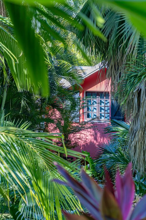 Vue d'un bungalow du Caraib'Bay Hôtel au milieu de la végétation