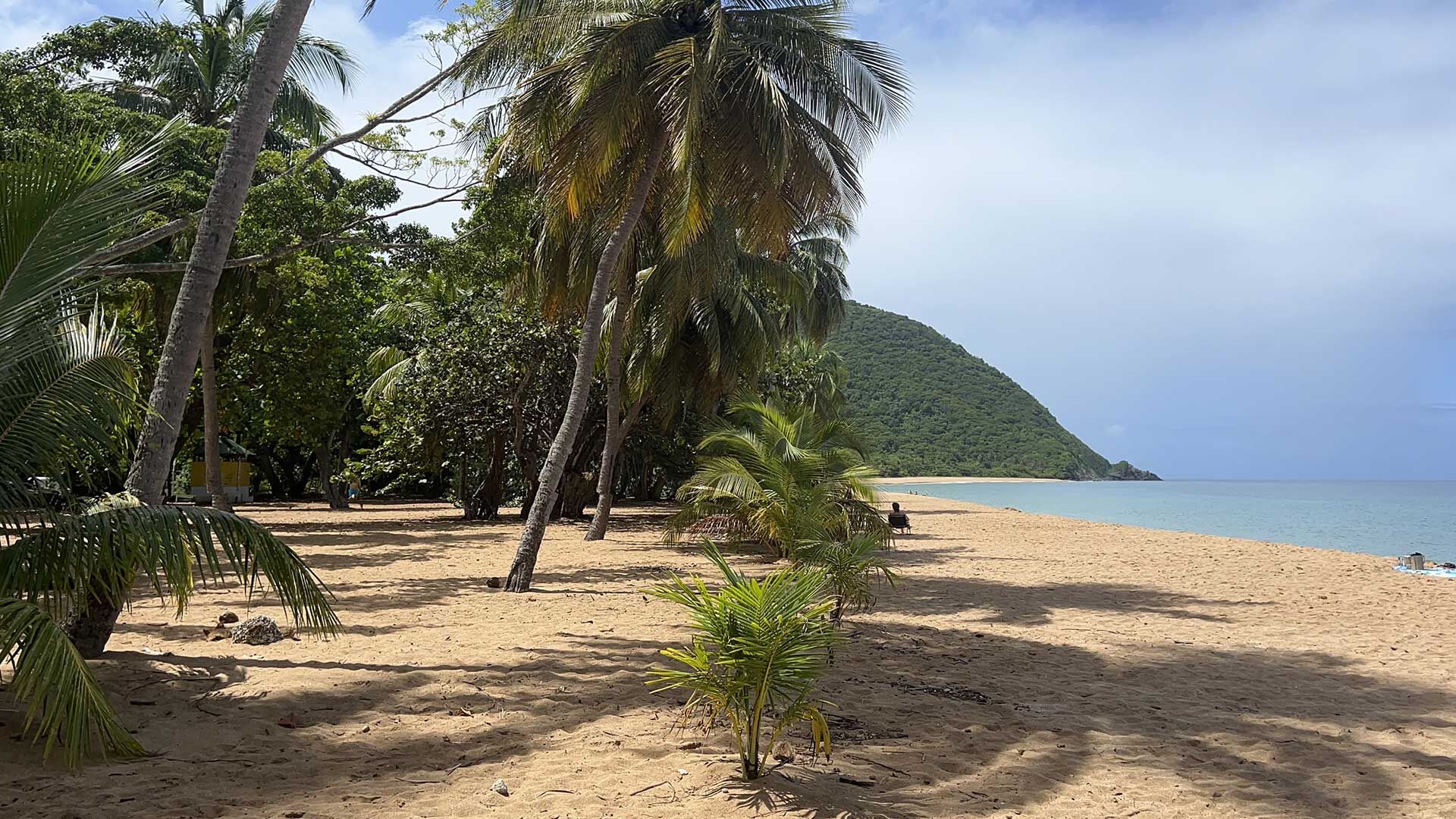 Photo d'une plage à Deshaies en Guadeloupe
