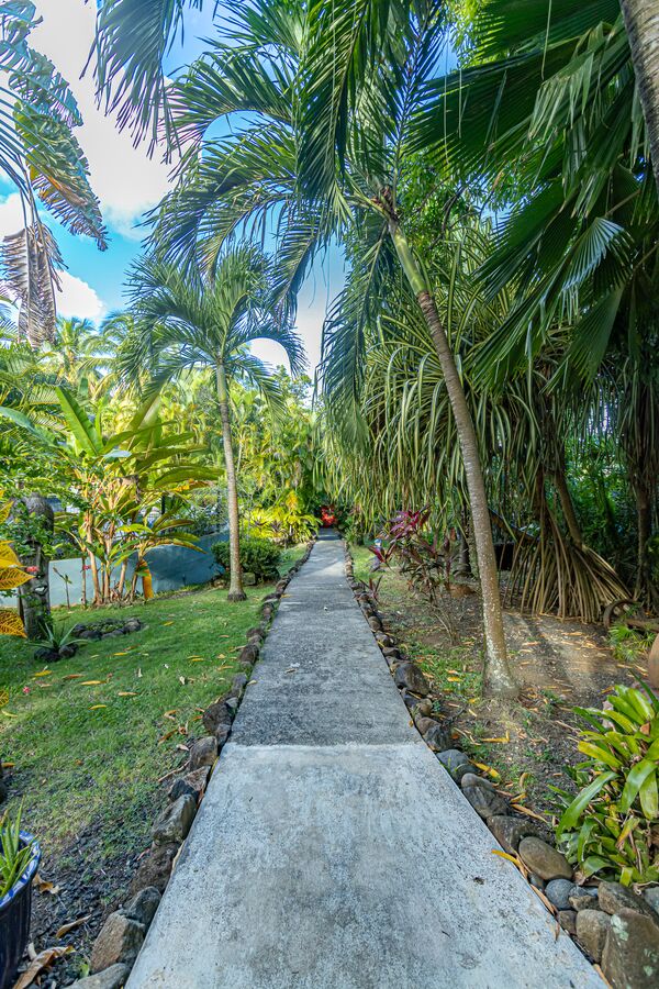 Chemin d'accès au Caraïb'Bay Hôtel