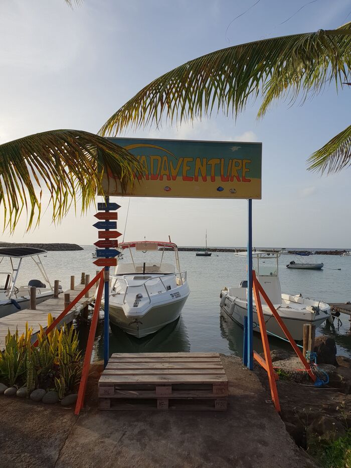 Snorkeling, plongée et activités nautiques autour de Deshaies