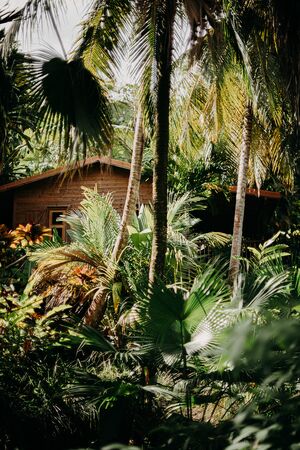 Aperçu d'un bungalow du Caraïb'Bay Hôtel dans la végétation