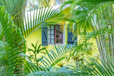 Vue extérieure à travers la végétation d'une villa du Caraïb'Bay Hôtel