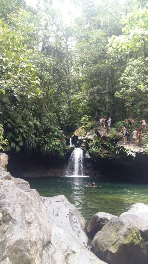 waterfall, forest and river in Guadeloupe